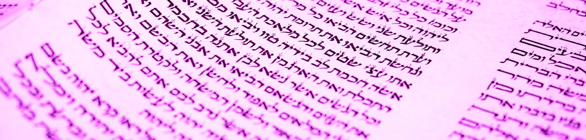 תנך-דסקטופ